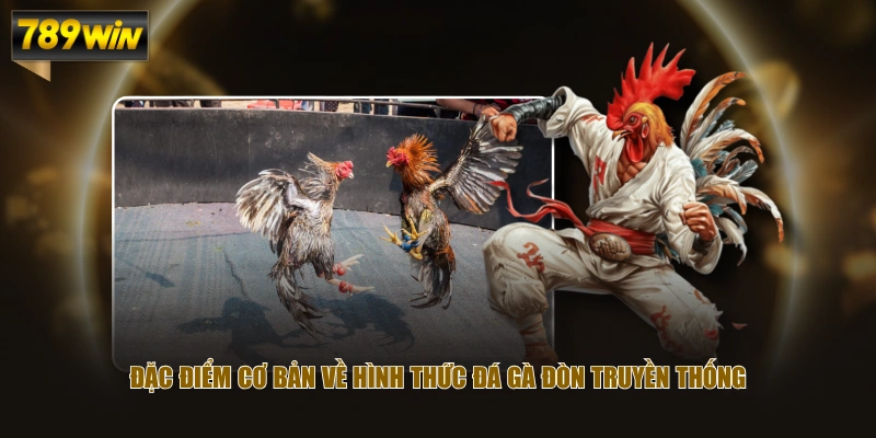 Review Đá Gà Đòn: Nghệ Thuật Chơi Gà Sới & Bản Lĩnh Chiến Kê 2 Đặc điểm cơ bản về hình thức đá gà đòn truyền thống