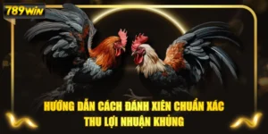 Hướng Dẫn Cách Đánh Xiên Chuẩn Xác Thu Lợi Nhuận Khủng
