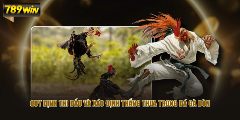 Review Đá Gà Đòn: Nghệ Thuật Chơi Gà Sới & Bản Lĩnh Chiến Kê 4 Quy định thi đấu và xác định thắng thua trong đá gà đòn