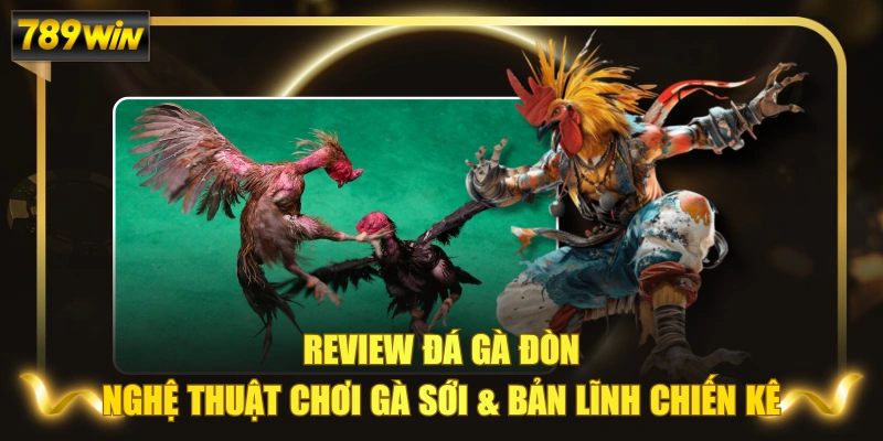 Review Đá Gà Đòn: Nghệ Thuật Chơi Gà Sới & Bản Lĩnh Chiến Kê 1 Review Đá Gà Đòn: Nghệ Thuật Chơi Gà Sới & Bản Lĩnh Chiến Kê
